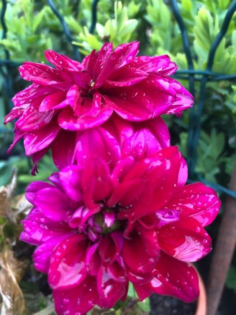 830FF3C2-8B14-43DE-88F2-32805B85C420 - 2019