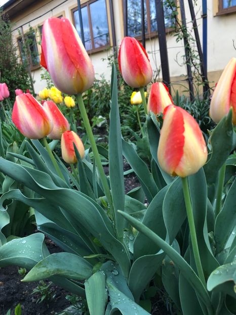 C5FD4A1F-FD9E-4AF1-8A4E-741324CF8AC4 - 2019