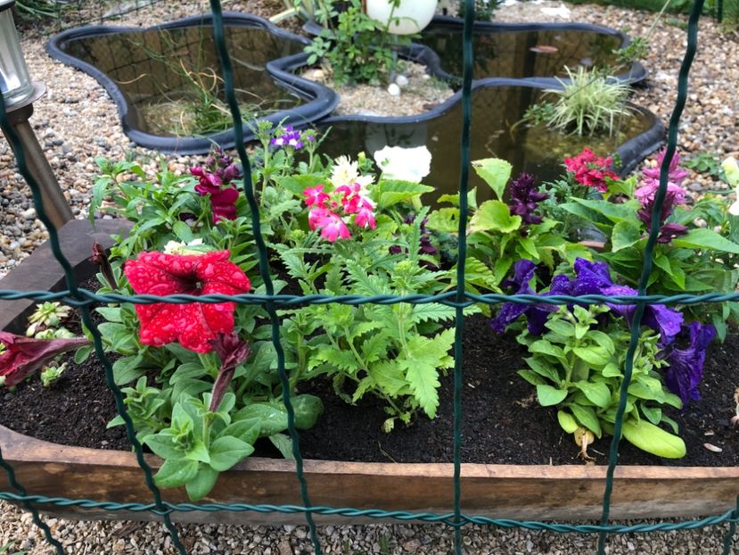 0B87C76F-9299-445C-9BA7-408D8A6A606D - 2019