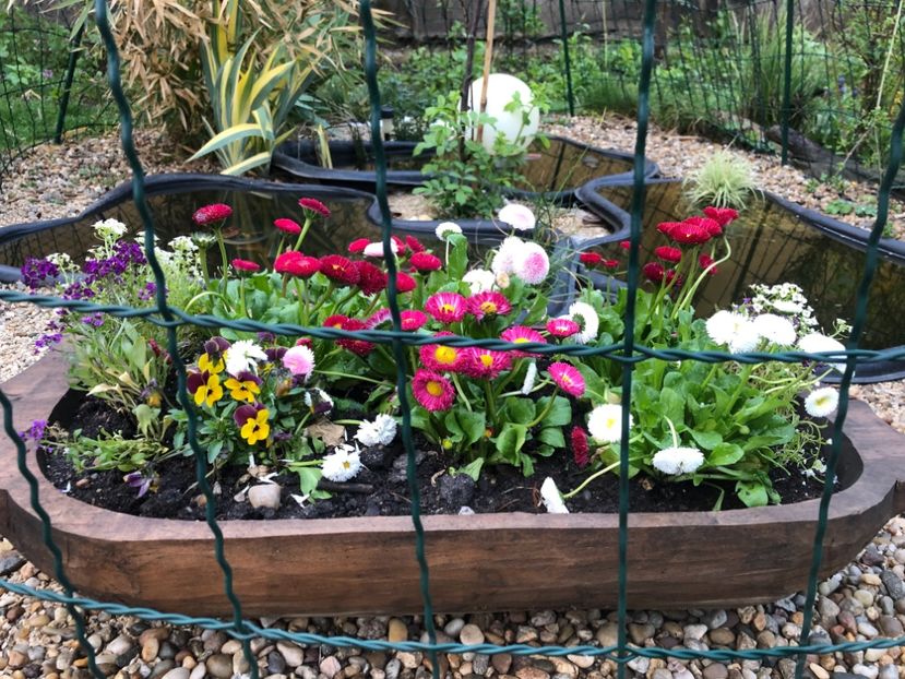 66225393-D930-42C9-BFB0-BB466997CFF1 - 2019