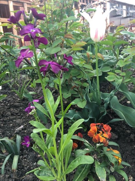 BF3AC049-5FB0-497A-ADC2-3F65985158FB - 2019