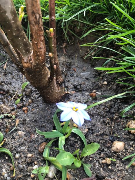 DC3B41EE-C916-49A9-B20D-678431966929 - 2019