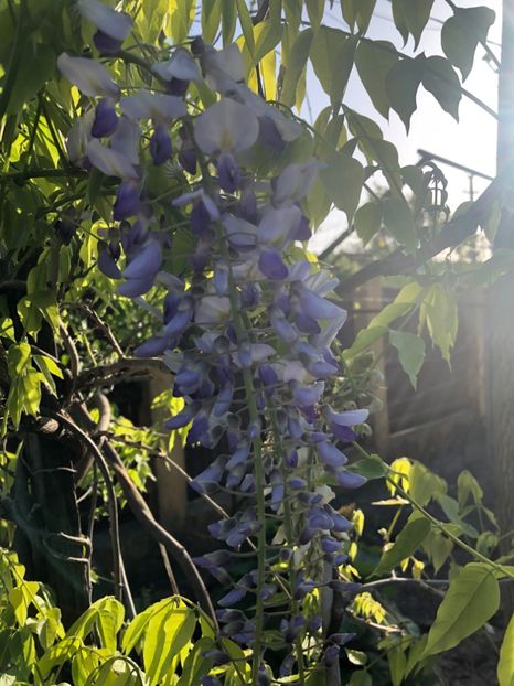 E99EE91C-9EF1-400A-BF1D-1D4C3B498ACE - 2019