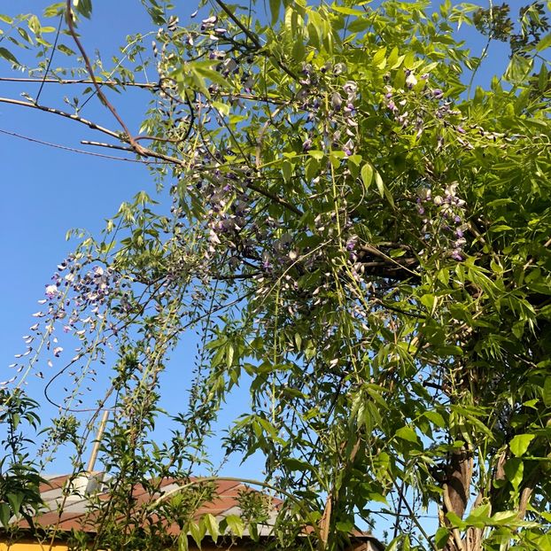 A458C7D4-ADB6-446F-AC4B-6A6836F7EFE2 - 2019