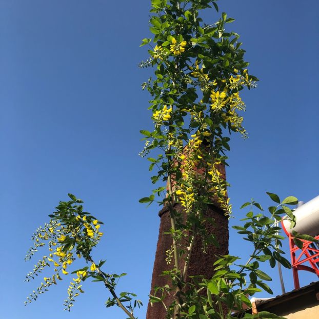 56C0CA3B-CB7C-4F20-B3EC-9C317730530D - 2019