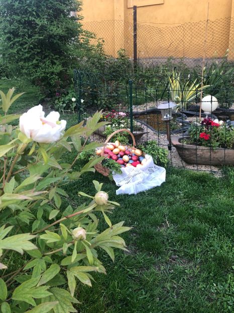 C9C836D1-6CDE-499F-A5E7-CDC5A908DC66 - 2019