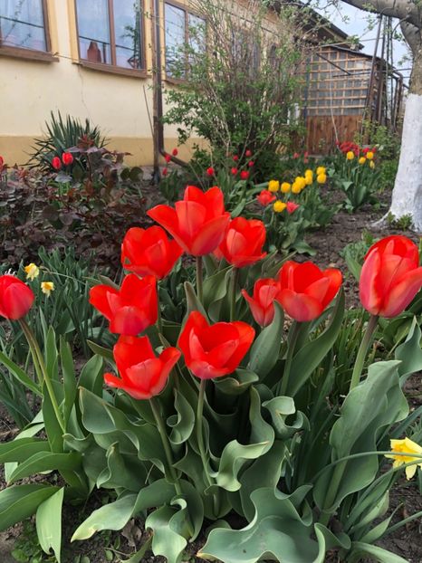 3B181180-1555-46DB-9395-70B040EE1462 - 2019