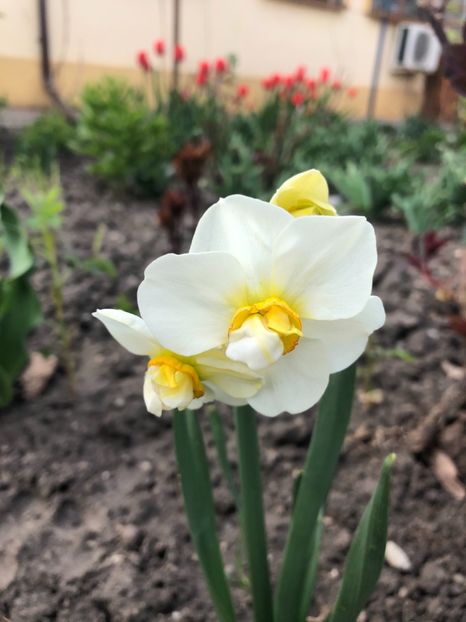 1FF6FA08-E341-43A8-A64E-916A10128524 - 2019