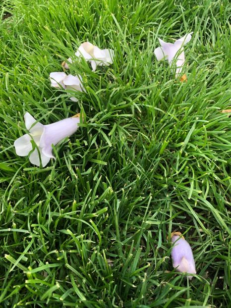 E4DBD9F3-95CF-4CB4-BDEA-15B74AABAFCF - 2019