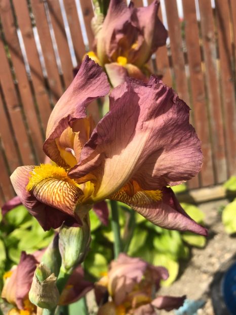 597AC523-8073-4694-8639-ACC5B8E2791F - 2019