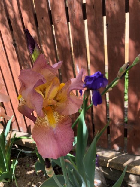 662AD806-6860-471E-97F0-74EC361AD117 - 2019