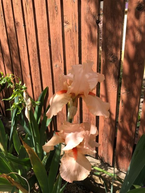 9E225991-B40F-480B-92E8-875454159626 - 2019