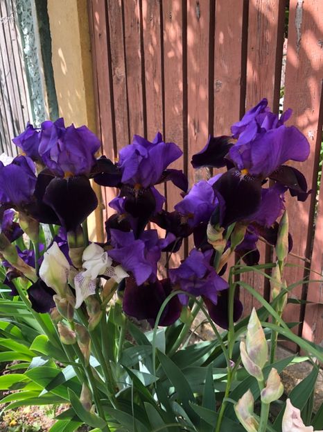 E69606DE-A323-4FC6-9C51-A001E0092809 - 2019