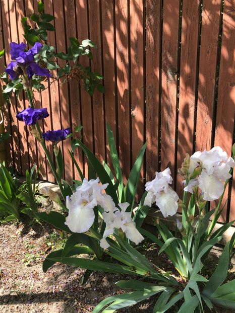 F0738B79-C9B3-47E2-B519-18C9A8C8CC22 - 2019