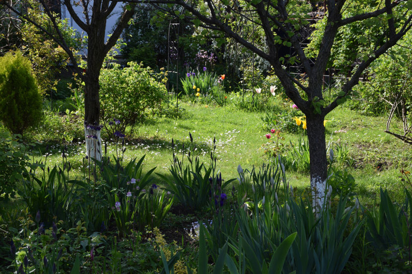  - 2019 Idilic garden
