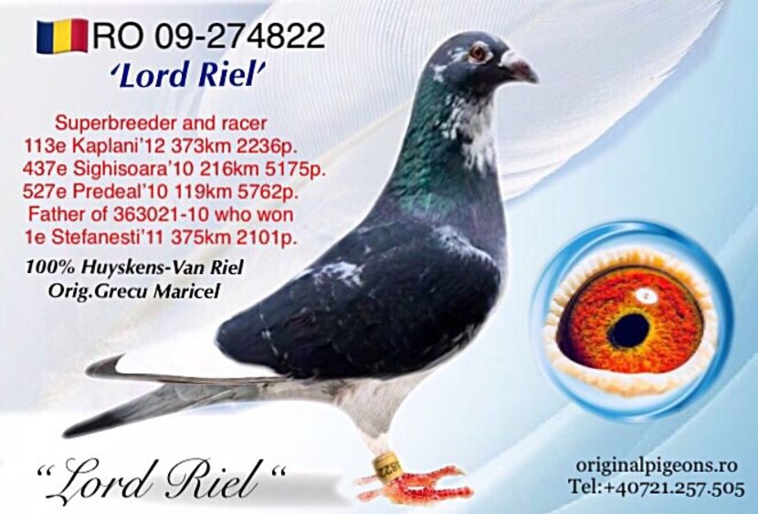 DD5C2E6E-3F26-4F50-A35A-4B4B0693F05B - Perechea 7