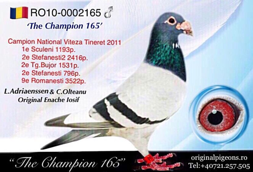 F3B4B460-0FA3-465C-A6CF-E94A6F43E7F5 - Perechea 1