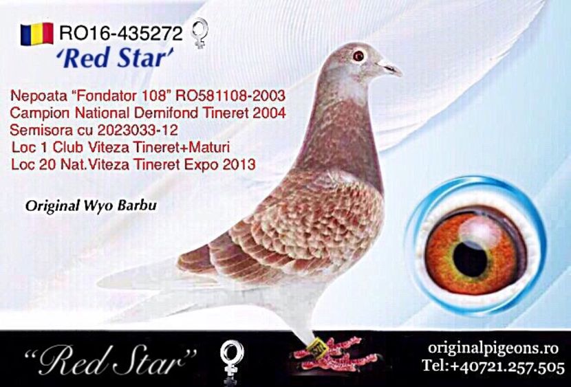 E48E165C-BDB4-46A2-AE98-25D83728D11C - Perechea 1