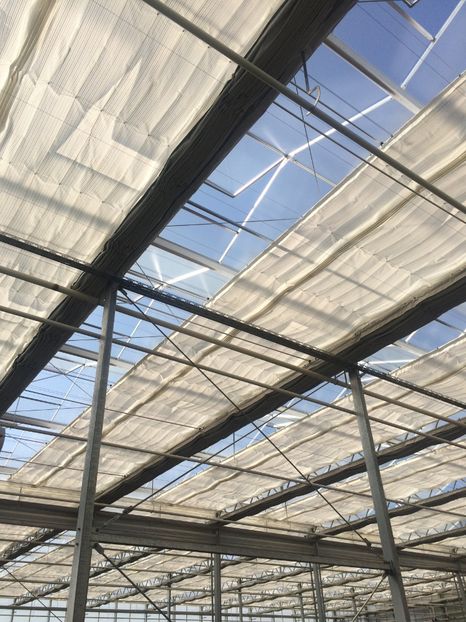 Sistemul de udat și umbră - A -Magazin