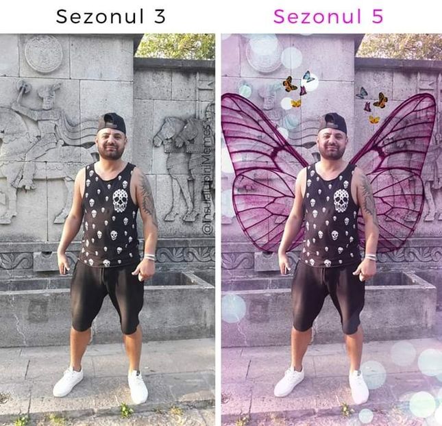  - Sezonul 5 insula iubirii - memes 1