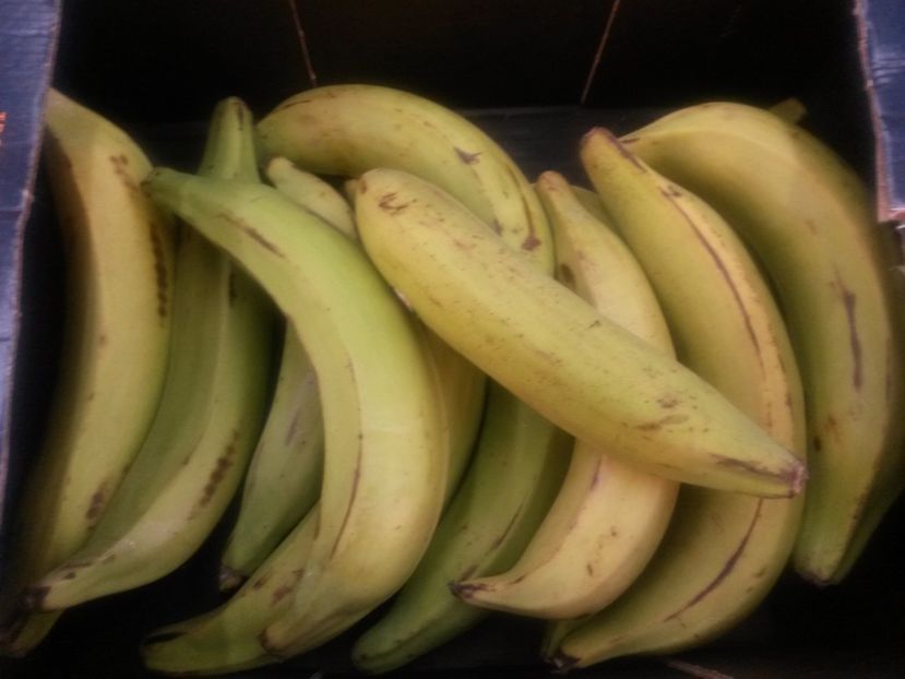 Banane gigant - KAUFLAND