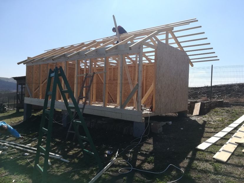  - Voliera noua pentru porumbei