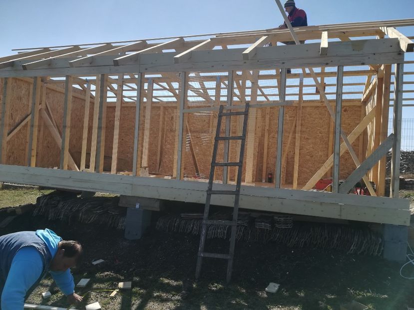  - Voliera noua pentru porumbei