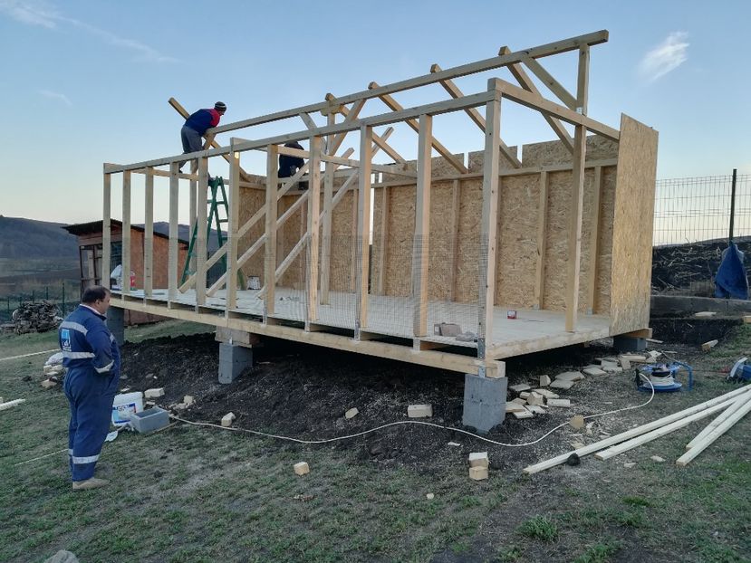  - Voliera noua pentru porumbei