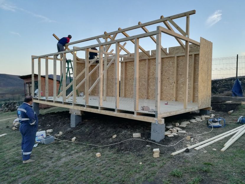  - Voliera noua pentru porumbei