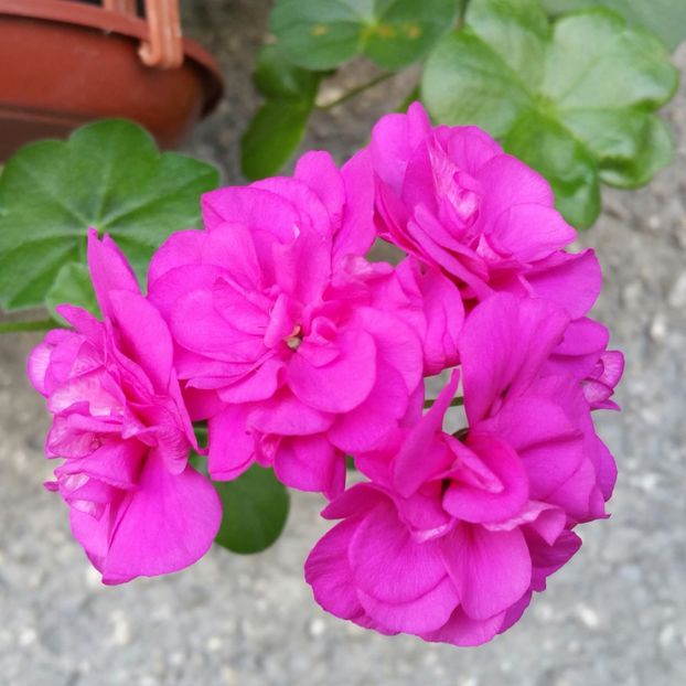 20190502_181745-1 - 2019