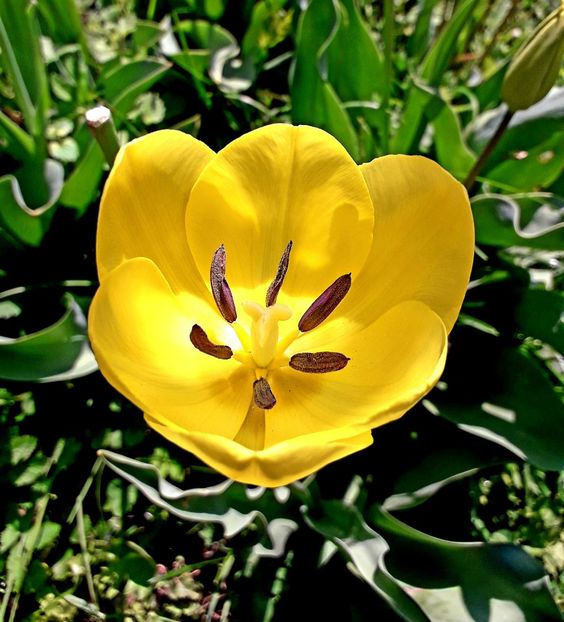  - AAAA_LALELE 2019_2020_2022_2023