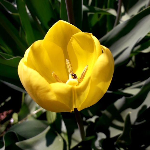  - AAAA_LALELE 2019_2020_2022_2023