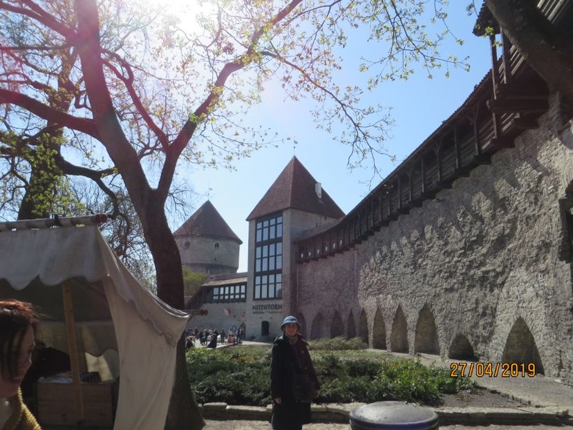  - Tarile Baltice 2019 Tallin_Parnu_Turaida_Sigulda_Riga