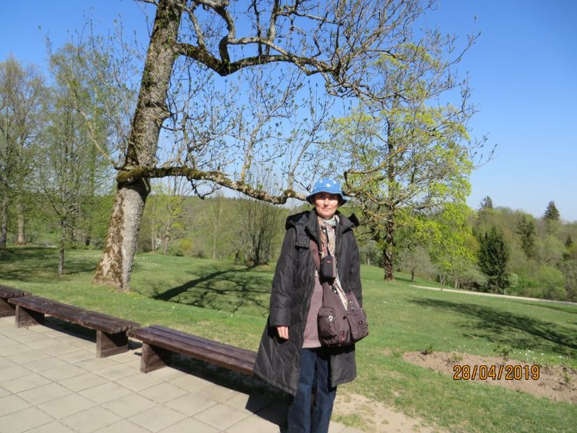  - Tarile Baltice 2019 Tallin_Parnu_Turaida_Sigulda_Riga