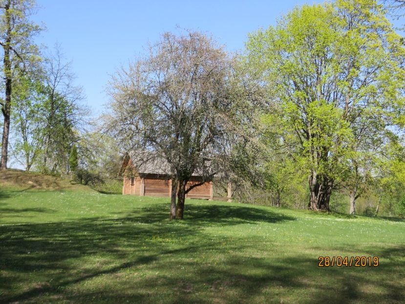  - Tarile Baltice 2019 Tallin_Parnu_Turaida_Sigulda_Riga