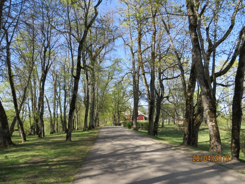  - Tarile Baltice 2019 Tallin_Parnu_Turaida_Sigulda_Riga