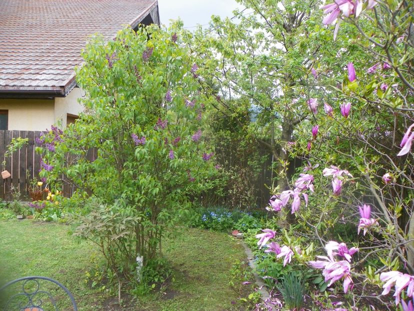 3 mai (30) - Gradina 2019