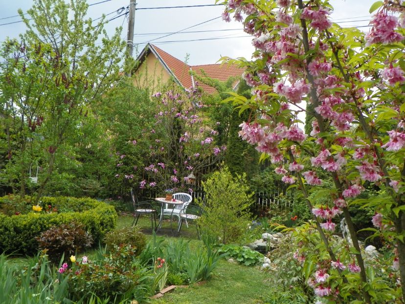 3 mai (58) - Gradina 2019