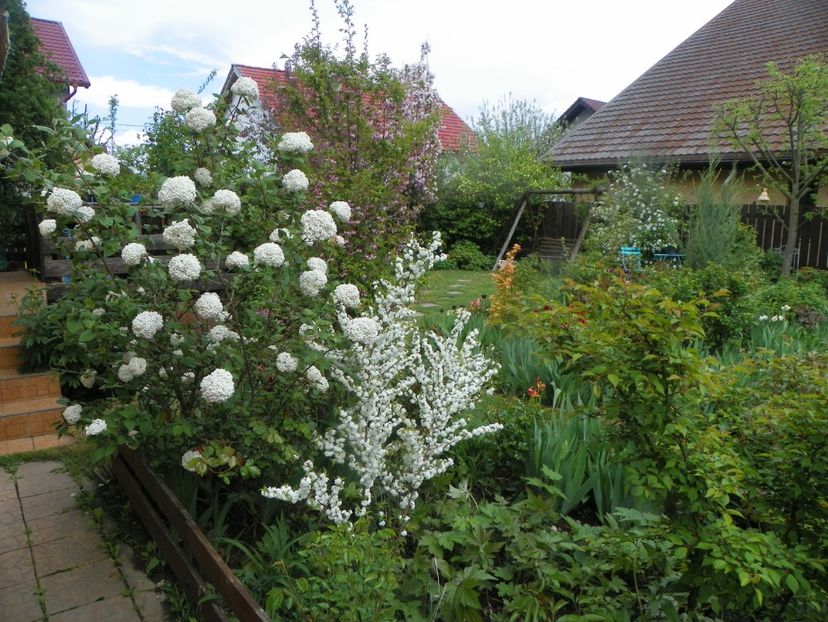 3 mai (95) - Gradina 2019