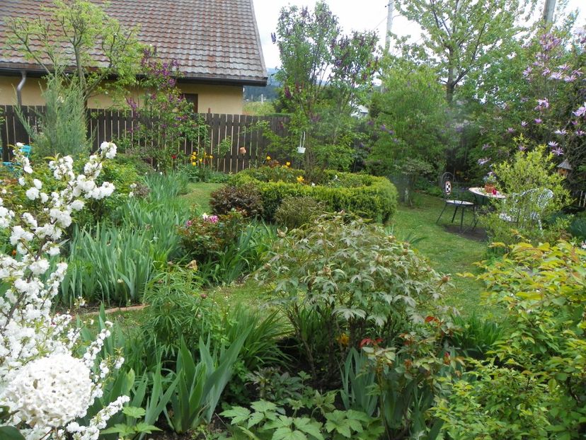 3 mai (96) - Gradina 2019