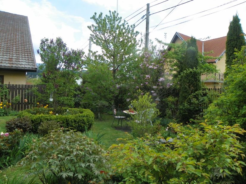 3 mai (97) - Gradina 2019