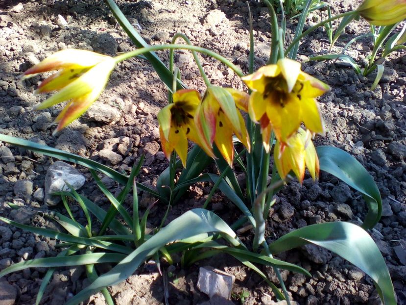  - curtea cu toate cele 2019