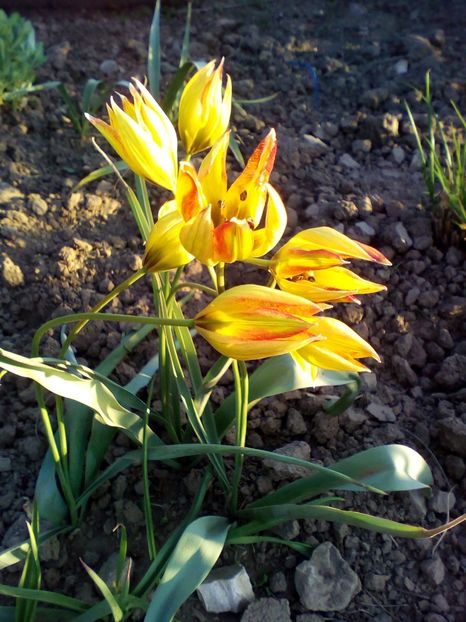  - curtea cu toate cele 2019