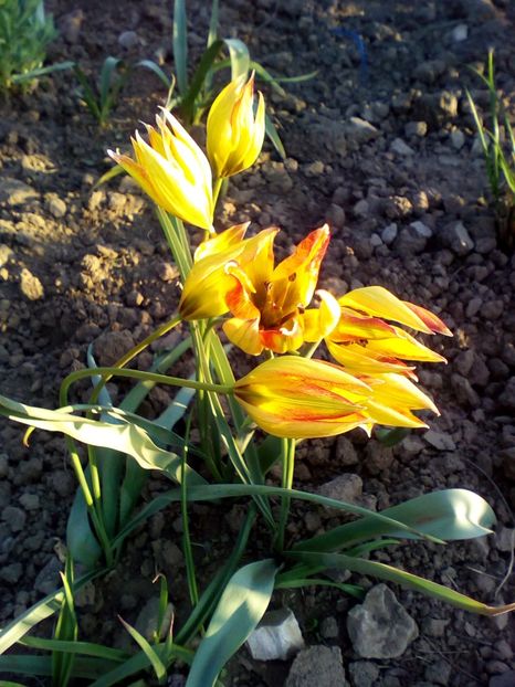  - curtea cu toate cele 2019