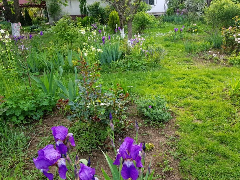  - 2019 Idilic garden