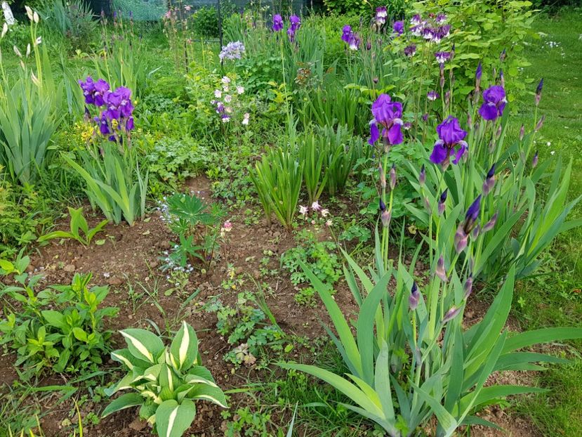  - 2019 Idilic garden