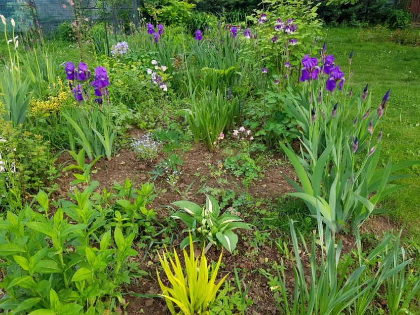  - 2019 Idilic garden