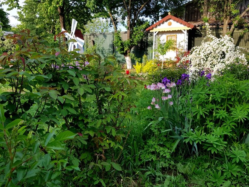 - 2019 Idilic garden