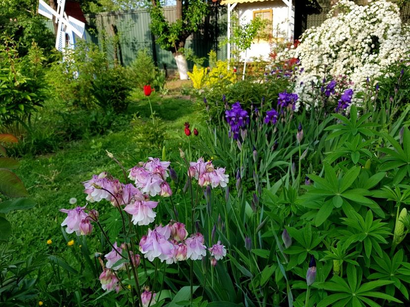  - 2019 Idilic garden