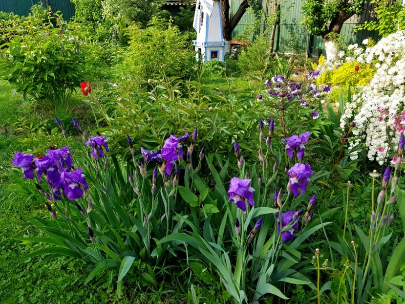  - 2019 Idilic garden